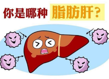 脂肪肝.jpg